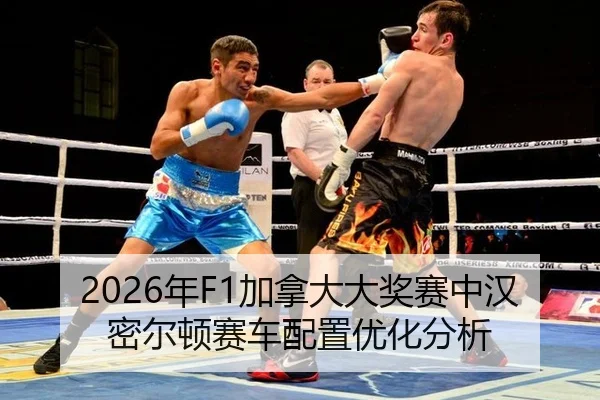 nian-jia-na-da-da-jiang-sai-zhong-han-mi-er-dun-sai-che-pei-zhi-you-hua-fen-xi-2-172.jpg