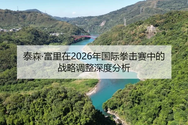 泰森·富里在2026年国际拳击赛中的战略调整深度分析