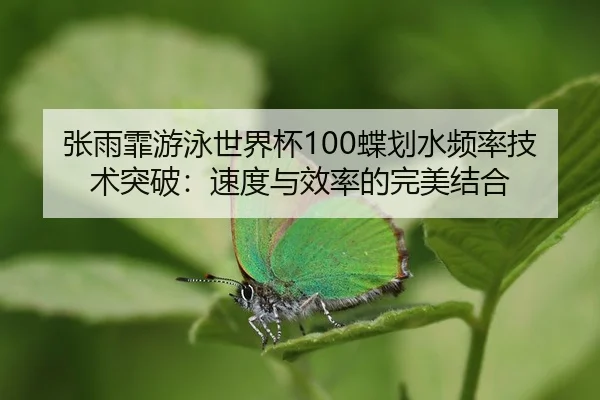 zhang-yu-fei-you-yong-shi-jie-bei-die-hua-shui-pin-lv-ji-shu-tu-po-su-du-yu-xiao-lv-de-wan-mei-jie-he-3-566.jpg