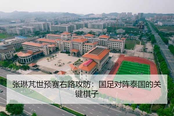 张琳芃世预赛右路攻防：国足对阵泰国的关键棋子