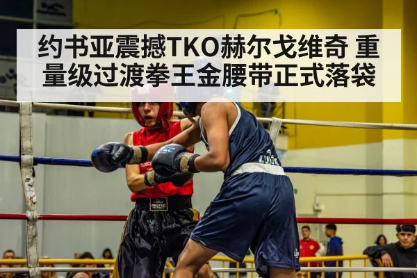 约书亚震撼TKO赫尔戈维奇 重量级过渡拳王金腰带正式落袋